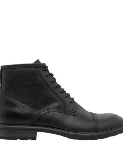 Steadypace.shopcfa017a556 1