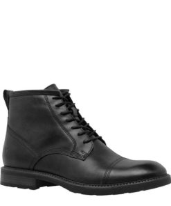 Steadypace.shopcfa017a556 2