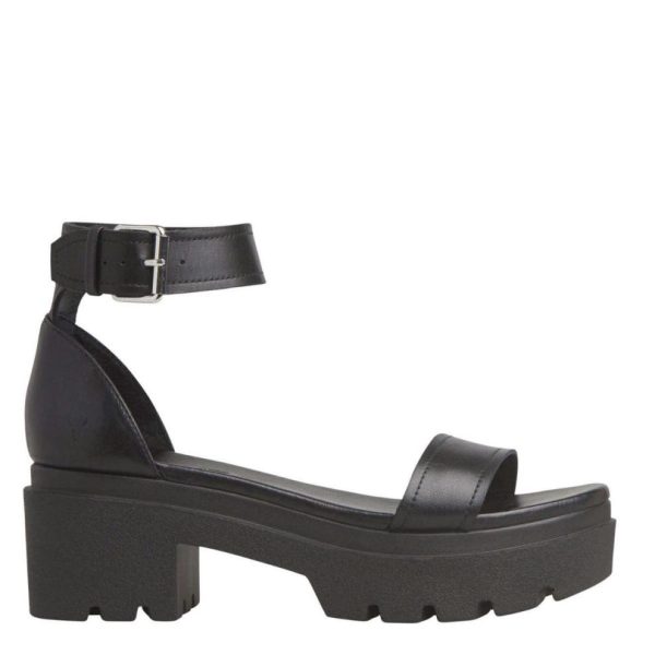 Steadypace.shopd24eae036d 1