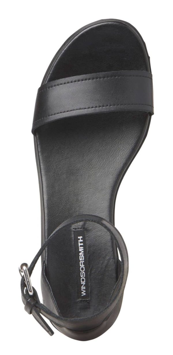 Steadypace.shopd24eae036d 3