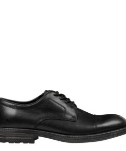 Steadypace.shopd748584866 1