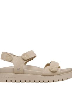 Steadypace.shopdcc4deb38f 1