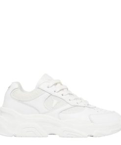 Steadypace.shopde263f96a3 1