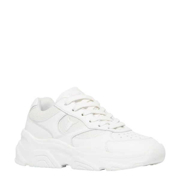 Steadypace.shopde263f96a3 2