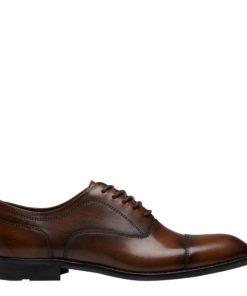 Steadypace.shopde55cb807e 1