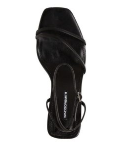 Steadypace.shopdf06bf3125 3