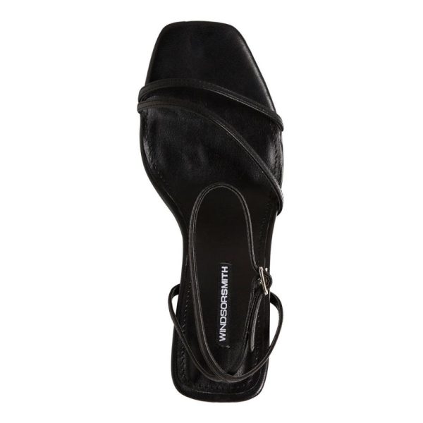 Steadypace.shopdf06bf3125 3