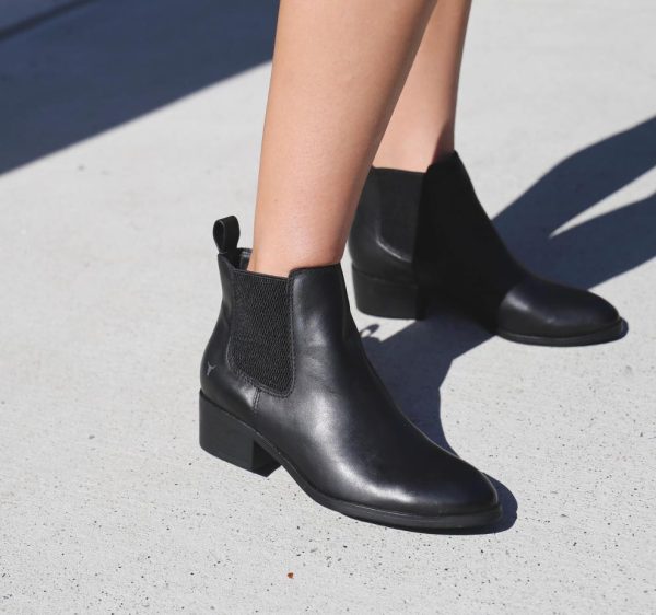 Steadypace.shopdf15d1d5ab 3