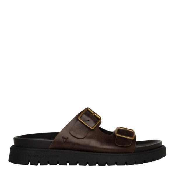 Steadypace.shope359d14c9c 1