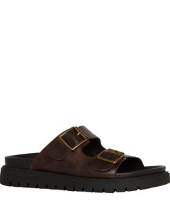 Steadypace.shope359d14c9c 2