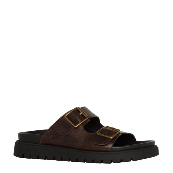 Steadypace.shope359d14c9c 2