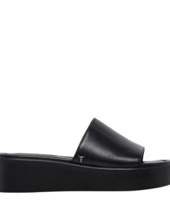 Steadypace.shope533ec8bd6 1