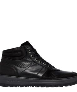 Steadypace.shope59ce61df1 1