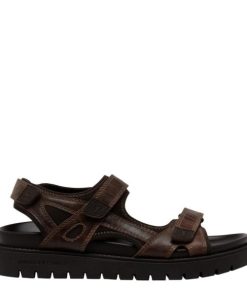 Steadypace.shope8dad612bc 1