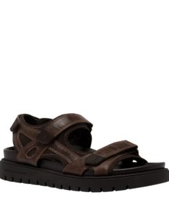 Steadypace.shope8dad612bc 2