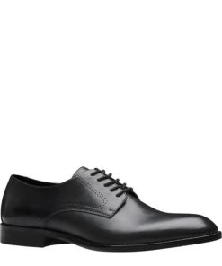 Steadypace.shopea6e7e0f8d 2