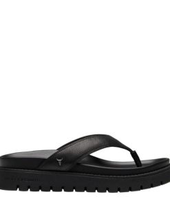 Steadypace.shopef172b2574 1